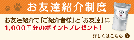 ドッグフード工房をお友達に紹介しよう！お友達紹介で「ご紹介様」と「お友達」に1,000円分のポイントプレゼント